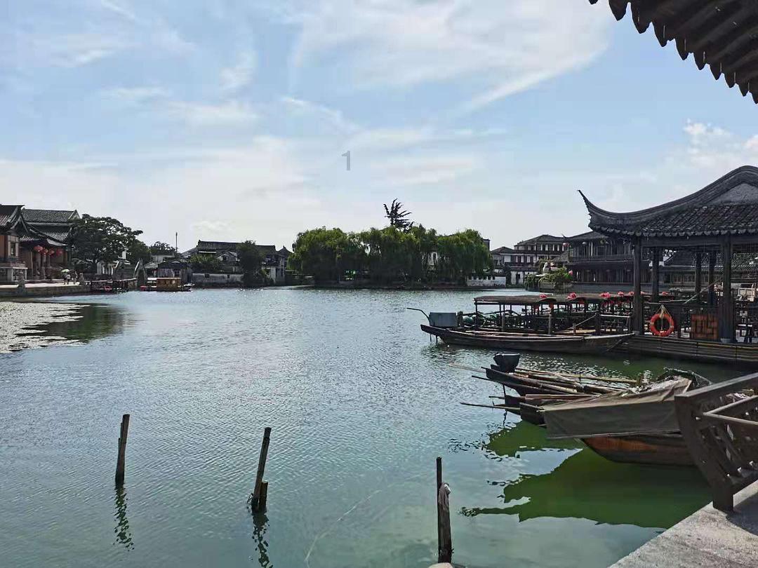 洗衣机,能甩鞋吗,解决你的疑惑